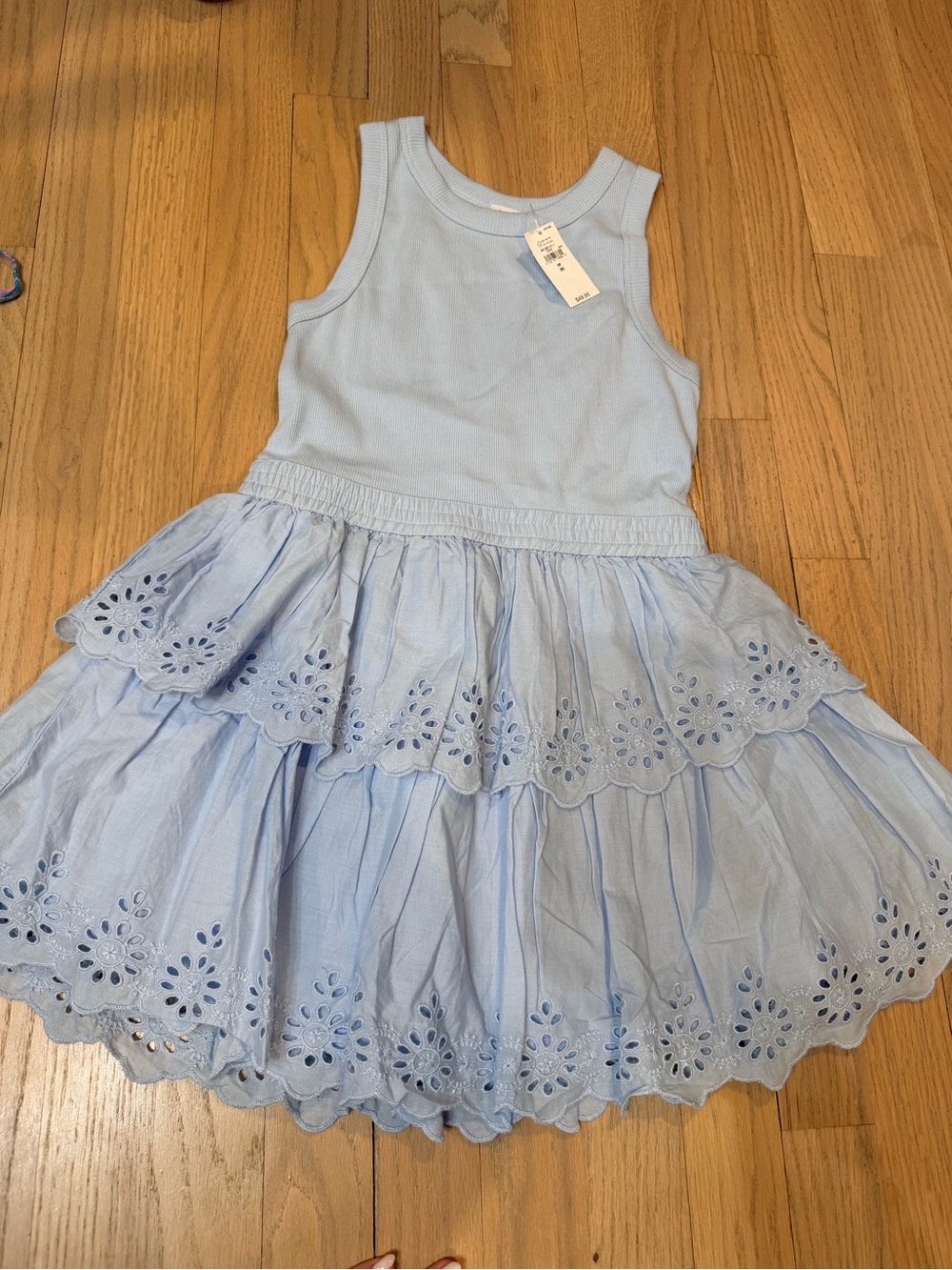 GAP Baby Blue Eyelet Tiered Tank Dress